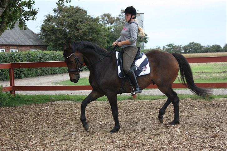 Anden særlig race Gardue (Gustav) R.I.P elsket og savnet! billede 15
