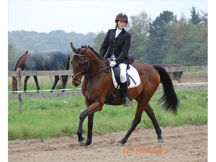 {{currentPhoto.altText}} billede {{currentPhoto.number}}