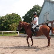 Frederiksborg Ninja Gadsagergård( Tidliger part)