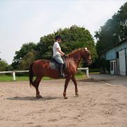 Frederiksborg Ninja Gadsagergård( Tidliger part)