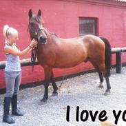 DSP Baunely's Baunty. <3