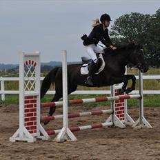 Anden særlig race Vanessa.* Red*