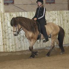 Islænder Skarphedinn fra Skiveren