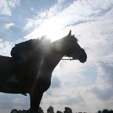 Anden særlig race Claudius