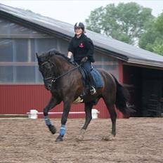 Anden særlig race Claudius