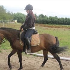 New Forest Lundgaards Gin