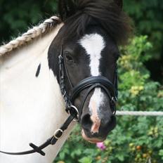 Anden særlig race Tia ~Sendt hjem~<3