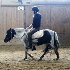 Anden særlig race Tia ~Sendt hjem~<3