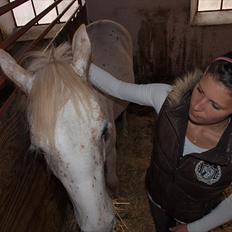 Knabstrupper Malle Skovly