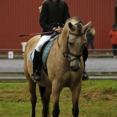 Anden særlig race Chanel