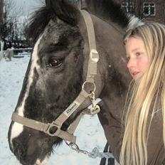 Anden særlig race Bounty ( TIDLIGER DRØMME PART )