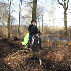 Anden særlig race Bounty ( TIDLIGER DRØMME PART )