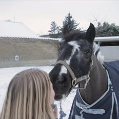 Anden særlig race Bounty ( TIDLIGER DRØMME PART )