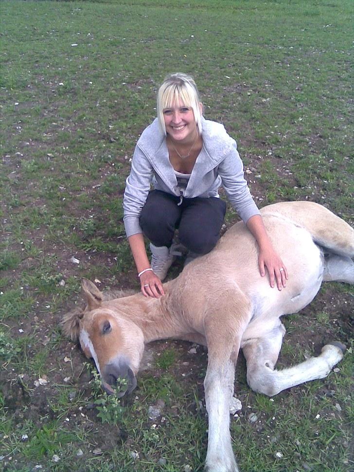 Anden særlig race Søgaard's Rinse billede 10