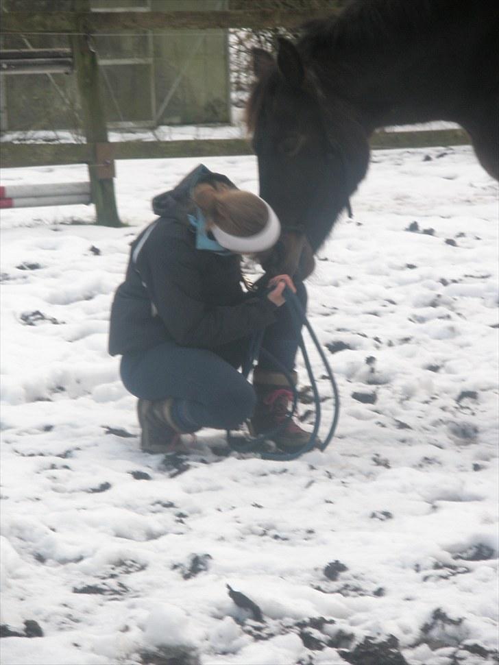 Oldenborg Zey - Du holdt mig varm i den kolde vinter:) December 2009. Foto: Ellen billede 8