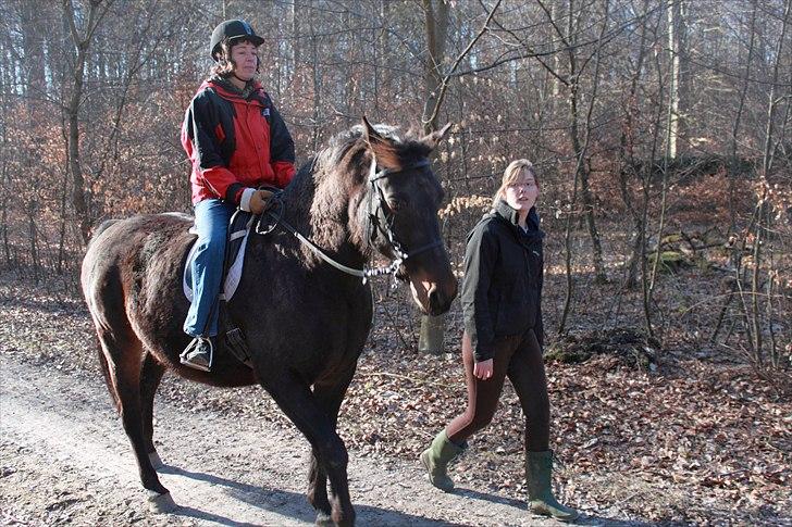 Oldenborg Zey - Zey og min mor, mig ved siden af. Hun tog sig virkelig godt af min mor som aldrig rider :D Marts 2011. Foto: Far billede 18