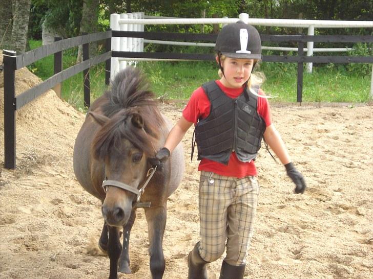 Anden særlig race Julle billede 10