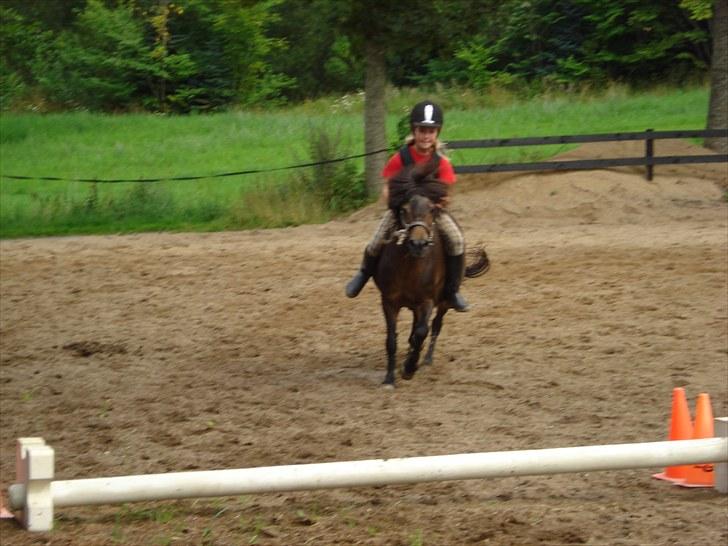 Anden særlig race Julle billede 11