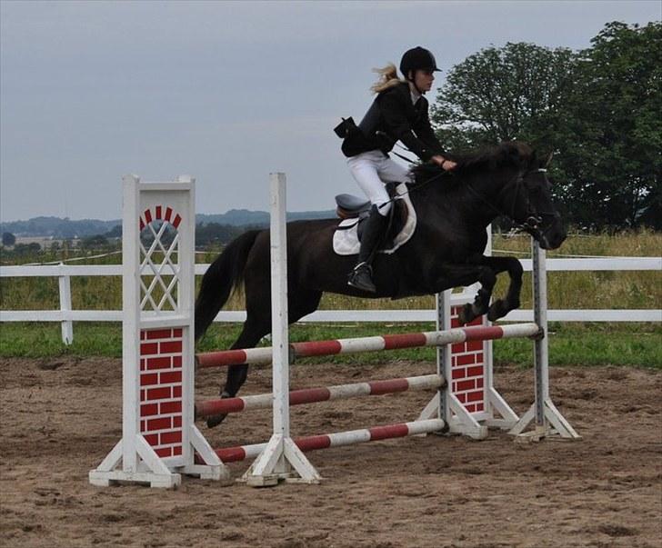 Anden særlig race Vanessa.* Red* - Stævne <3 billede 1