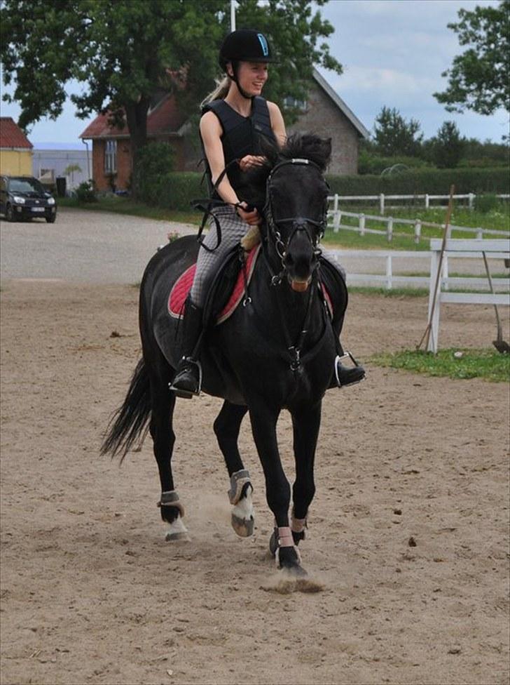 Anden særlig race Vanessa.* Red* - Første gang jeg skal springe på vanessa <3 billede 2