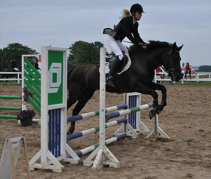 Anden særlig race Vanessa.* Red* - Stævne <3 billede 3