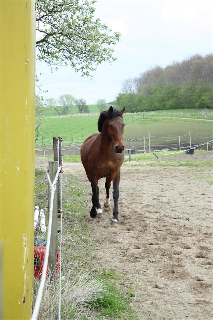 Traver Gismo Silk - Beaty moments doesn´t have to happend just because the people are beatifull..  billede 3