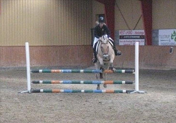 Fjordhest Mikkel! *SOLGT* :'( - Ida&Mikkel til deres 2. stævne :D billede 8