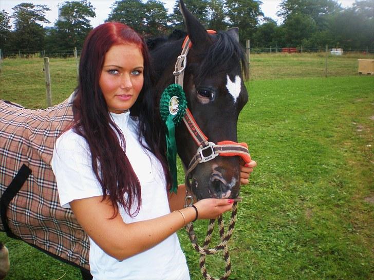 New Forest Løgtholt's Orlando - 4 plads ud af 18 ekvipager i la3 med 65 procent.. billede 11