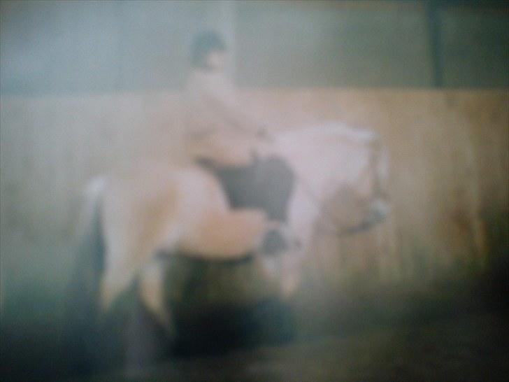 Fjordhest Lyngbjergs Frederik (R.I.P) - mor rider på Frederik.. UNDSKYLD DEN MEGET DÅRLIGE KVALITET, ER TAGET FRA BILLEDE #´ foto: mig billede 13