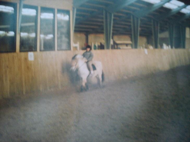 Fjordhest Lyngbjergs Frederik (R.I.P) - mig og frede .. UNDSKYLD DEN MEGET DÅRLIGE KVALITET, ER TAGET FRA BILLEDE #´ foto: mor billede 14