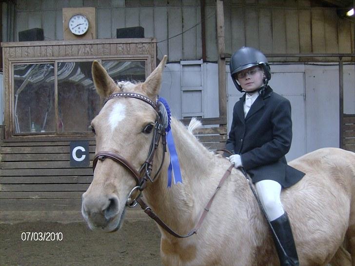 DSP katborgs lou lou billede 7