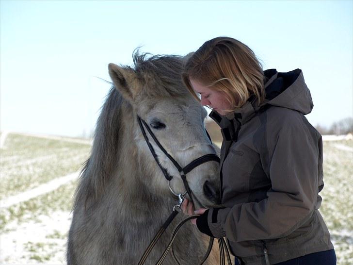 Islænder *Bára fra Stårup* R.I.P -  2. gang vi er på gåtur efter en alvorlig forfangenhed i vinteren 2008.  billede 1