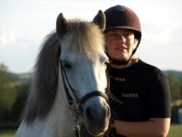 Islænder *Bára fra Stårup* R.I.P billede 6