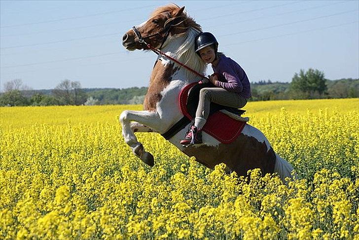 Anden særlig race Grøn Tuborg<3 - Mine beste år 
sammen med diig  billede 3