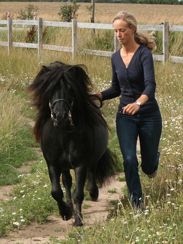 Anden særlig race Sylvester <3 (Gl. passer) - sylle med min tante  billede 2