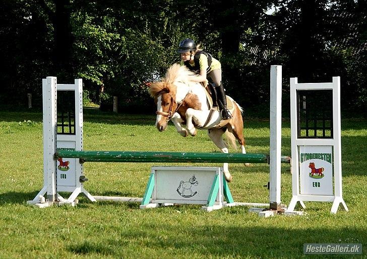 Anden særlig race Grøn Tuborg<3 - søde tube..Foto: Sandra Larsen 
80 billede 6