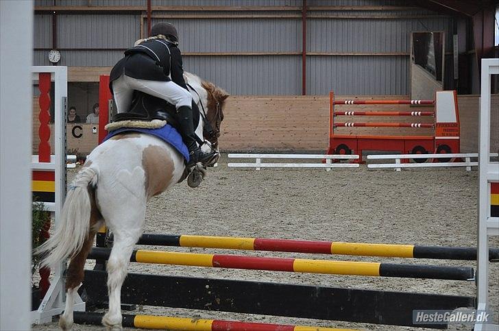 Anden særlig race Grøn Tuborg<3 - LB billede 7