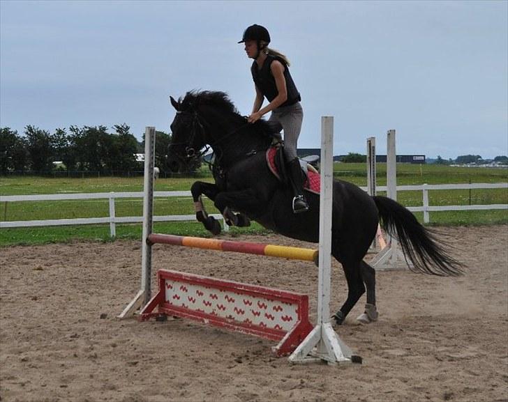 Anden særlig race Vanessa.* Red* billede 6