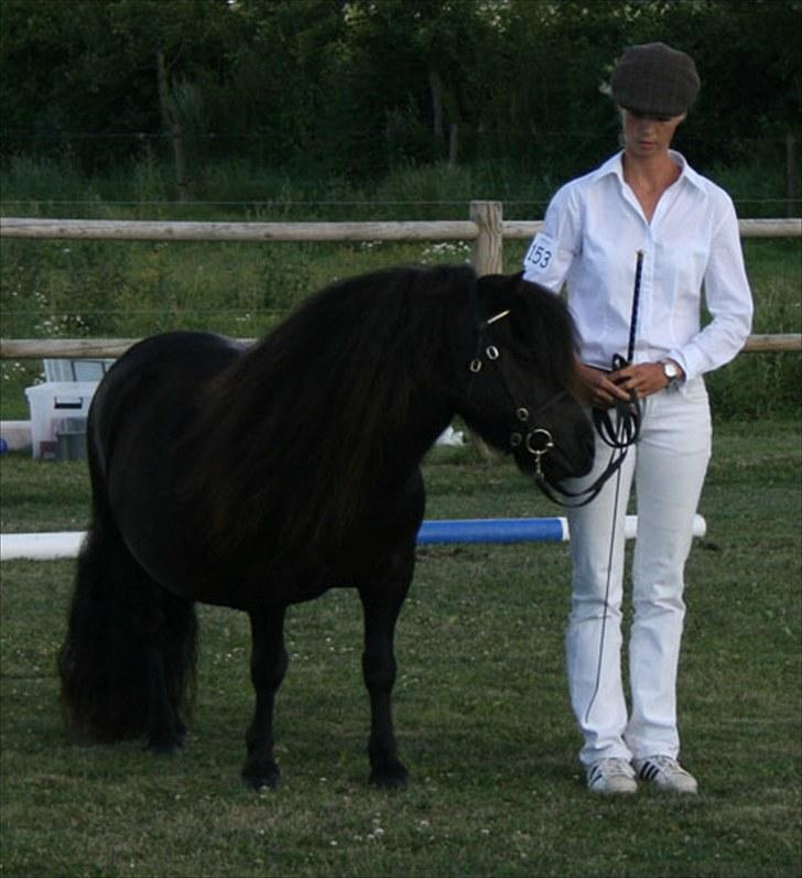 Anden særlig race Sylvester <3 (Gl. passer) - til kåring med min tante. :D billede 6