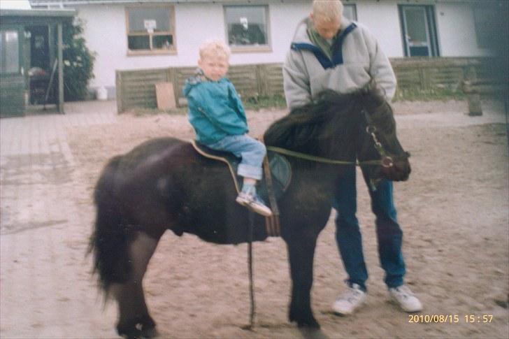 Anden særlig race Sylvester <3 (Gl. passer) - min store bror på 10 der rider og min far der holder .. billede 8