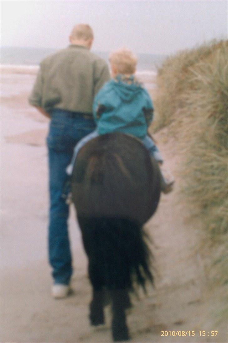 Anden særlig race Sylvester <3 (Gl. passer) - farvel farvel:) billede 10