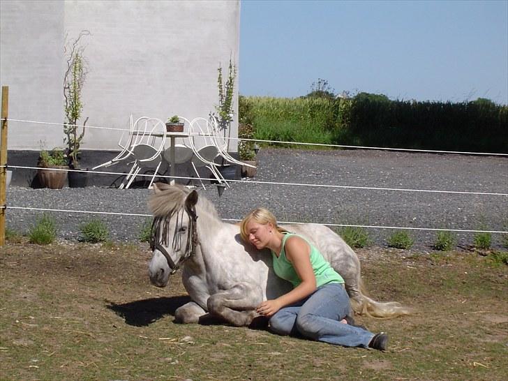 Islænder *Bára fra Stårup* R.I.P billede 12