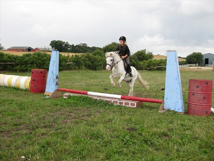 Anden særlig race Ramse - Rideskole pony - Line og Ramse. Første gang Line ´Rigtig´ springer bane (: billede 4