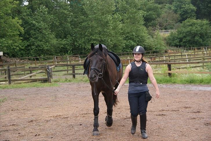 Anden særlig race Claudius - bliver trukket lidt rundt billede 6