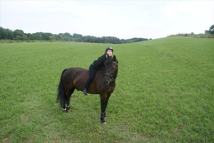 Anden særlig race Claudius - to bedste venner. billede 14