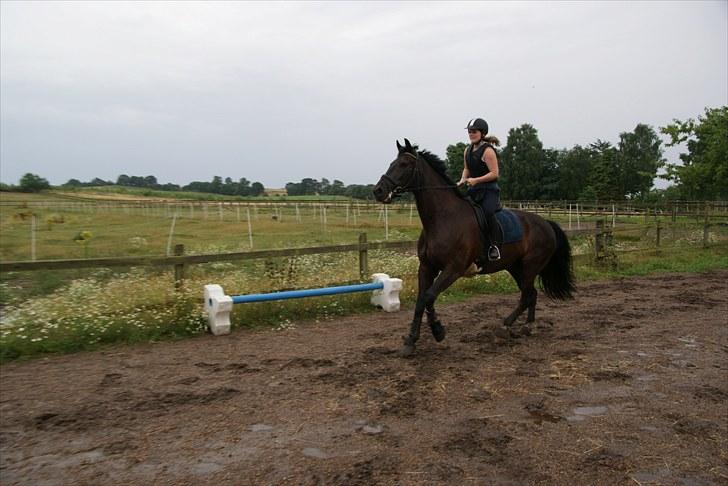 Anden særlig race Claudius - fremad (:  billede 15