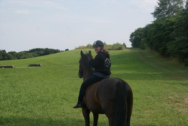 Anden særlig race Claudius - ses (: nu smutter vi ud og rider en tur  billede 18