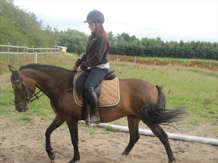 New Forest Lundgaards Gin billede 3