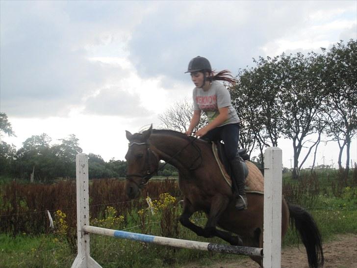 New Forest Lundgaards Gin billede 10