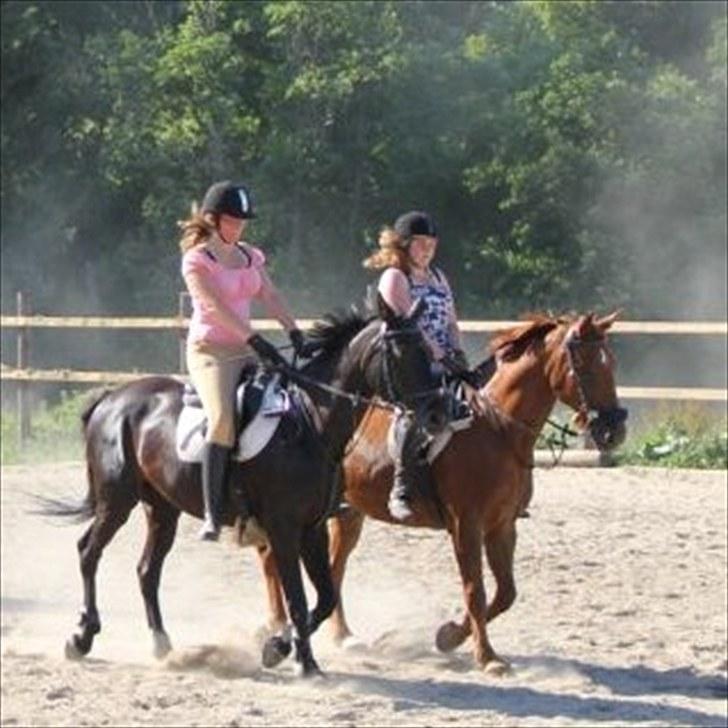 Frederiksborg  apollo (rideskole) - kvadrille opvisning (:  vi er helt synkrone!!! billede 11